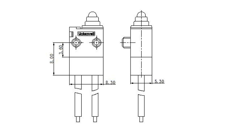 car remote micro switch